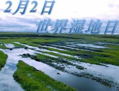 ʲô(ji)죿յāv