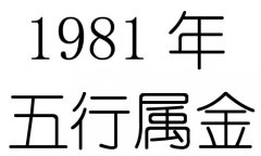 1981Ќʲô1981ʲô