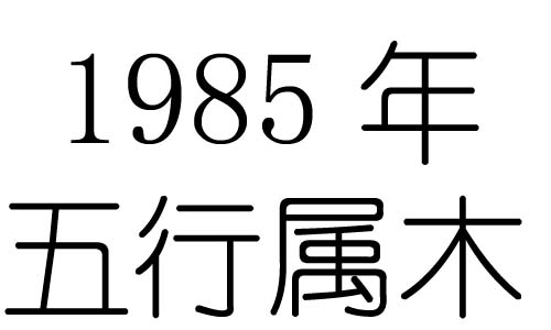 1985Ќʲô1985ʲô