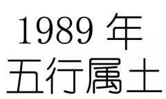 1989Ќʲô1989ʲô