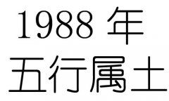 1988Ќʲô1988ʲô