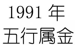 1991Ќʲô1991ʲô