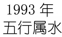 1993Ќʲô1993ʲô