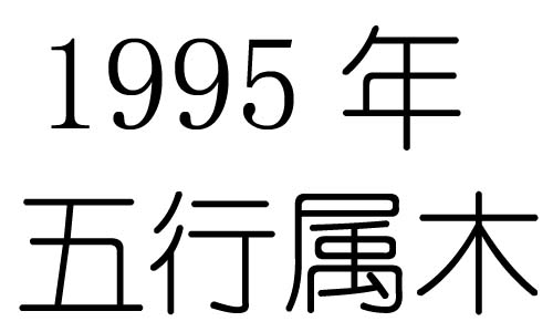 1995Ќʲô1995ʲô