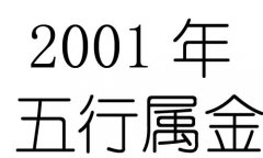 2001Ќʲô2001ʲô