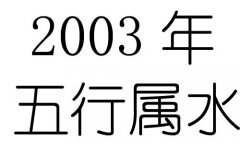 2003Ќʲô2003ʲô