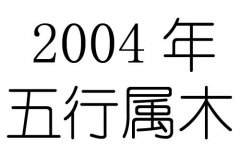 2004Ќʲô2004ʲô