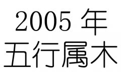 2005Ќʲô2005ʲô