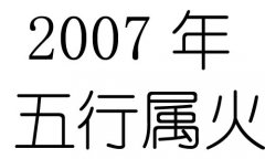 2007Ќʲô2007ʲô