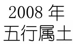 2008Ќʲô2008ʲô