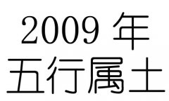 2009Ќʲô2009ʲô