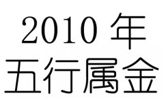 2010Ќʲô2010ʲô