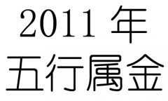 2011Ќʲô2011ʲô