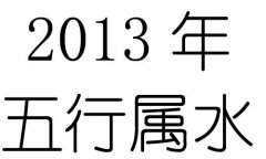 2013Ќʲô2013ʲô