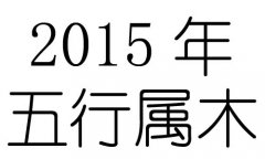 2015Ќʲô2015ʲô