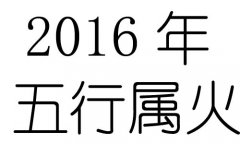 2016Ќʲô2016ʲô