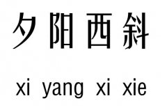 Ϧ(yng)бм_Ϧ(yng)бZ(y)
