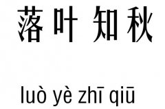 ~֪м_~֪Z(y)