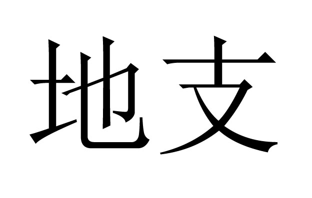 ֧ʲô˼