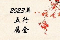 2023Ќʲô2023ʲô