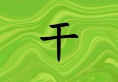 ոкЌľɂ(g)_ոкľ100փɂ(g)