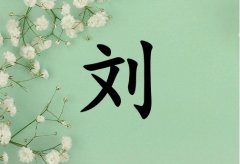 ՄкЌľɂ(g)_Մкľ100փɂ(g)