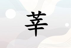 ݷкЌٽɂ_ݷкٽ100փɂ