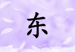 Ֆ|ŮЌٽ(g)_Ֆ|Ůٽ100(g)