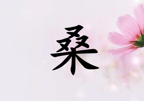 ɣкЌٻ(g)_ɣкٻ100(g)