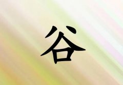 չкЌ(g)_չк100(g)