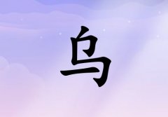 ՞ŮЌٽ(g)_՞Ůٽ100(g)