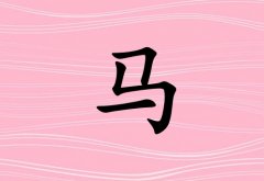 RкЌٻ_Rкٻ100