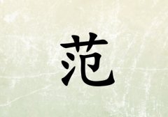 շŮЌ(g)_շŮ100(g)